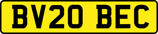 BV20BEC