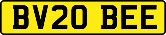 BV20BEE