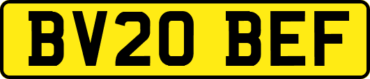BV20BEF