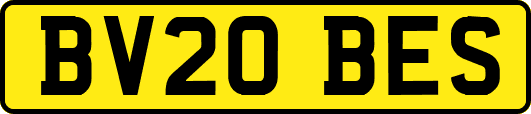 BV20BES