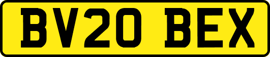 BV20BEX