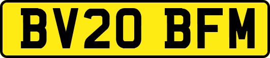 BV20BFM