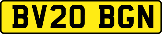 BV20BGN