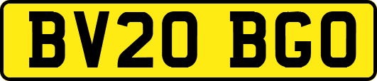 BV20BGO