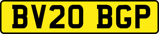 BV20BGP