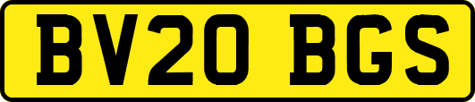 BV20BGS