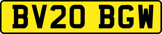 BV20BGW