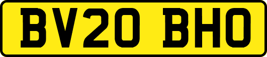 BV20BHO