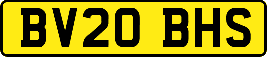BV20BHS