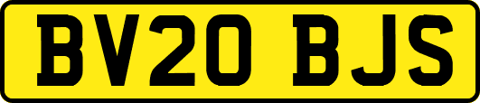 BV20BJS