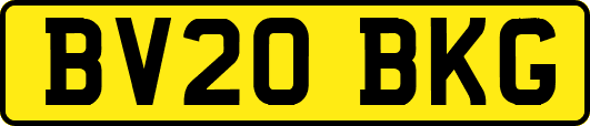 BV20BKG