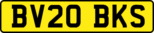 BV20BKS