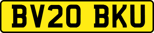 BV20BKU