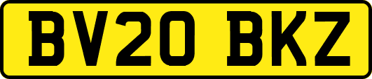 BV20BKZ