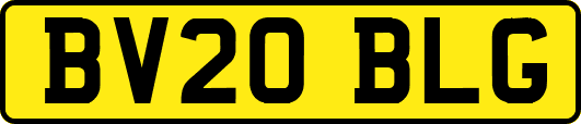 BV20BLG