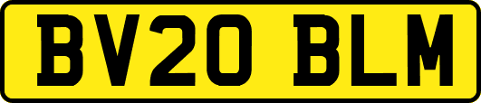 BV20BLM