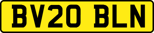 BV20BLN
