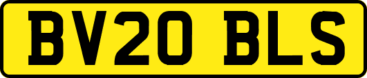 BV20BLS