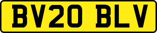 BV20BLV
