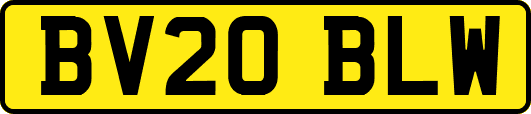BV20BLW