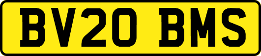 BV20BMS