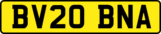 BV20BNA