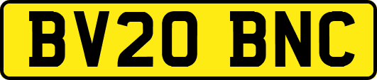 BV20BNC