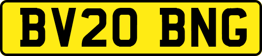 BV20BNG