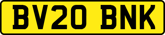 BV20BNK
