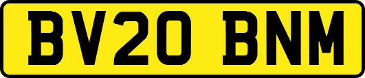 BV20BNM
