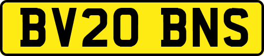 BV20BNS