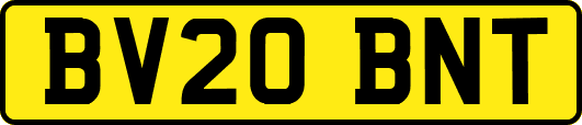 BV20BNT