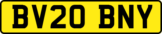 BV20BNY