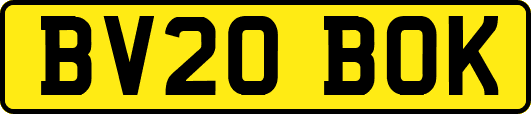 BV20BOK