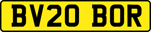 BV20BOR