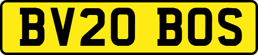 BV20BOS
