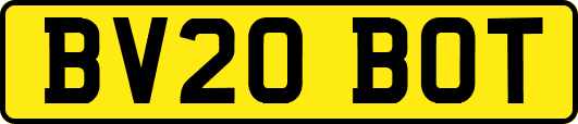 BV20BOT