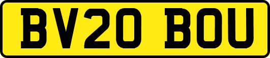 BV20BOU