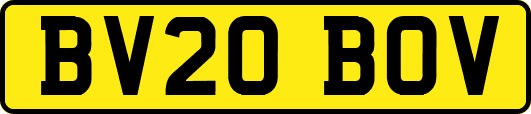 BV20BOV