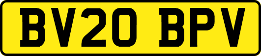 BV20BPV