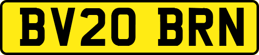 BV20BRN