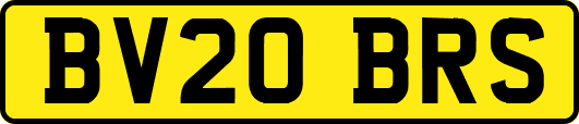 BV20BRS
