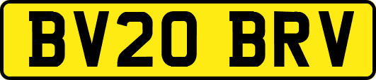 BV20BRV