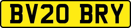 BV20BRY