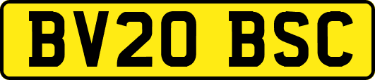 BV20BSC
