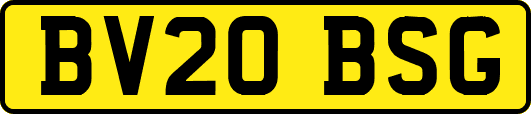 BV20BSG