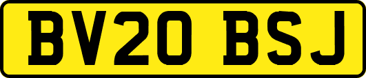 BV20BSJ