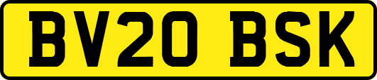 BV20BSK