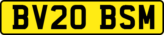 BV20BSM