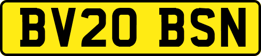 BV20BSN